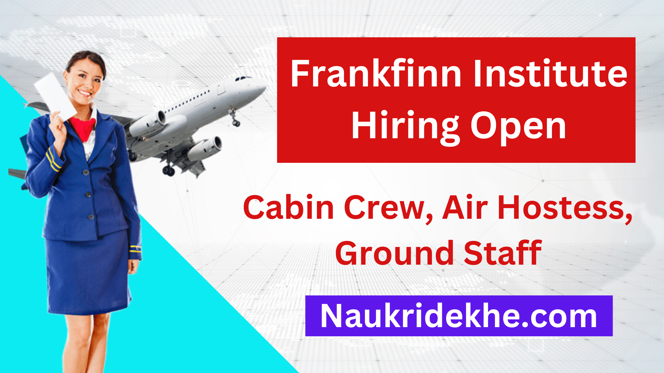 Frankfinn Sales Executive Jobs Delhi